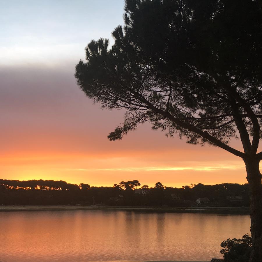 Hotel Les Hortensias Du Lac Soorts-Hossegor Zewnętrze zdjęcie